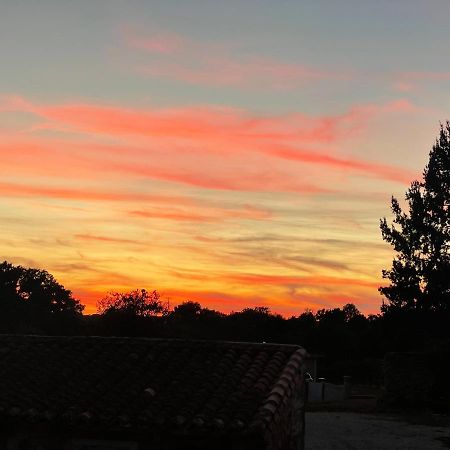 Maison Hirondelles Hotes Mezieres-sur-Issoire Bagian luar foto