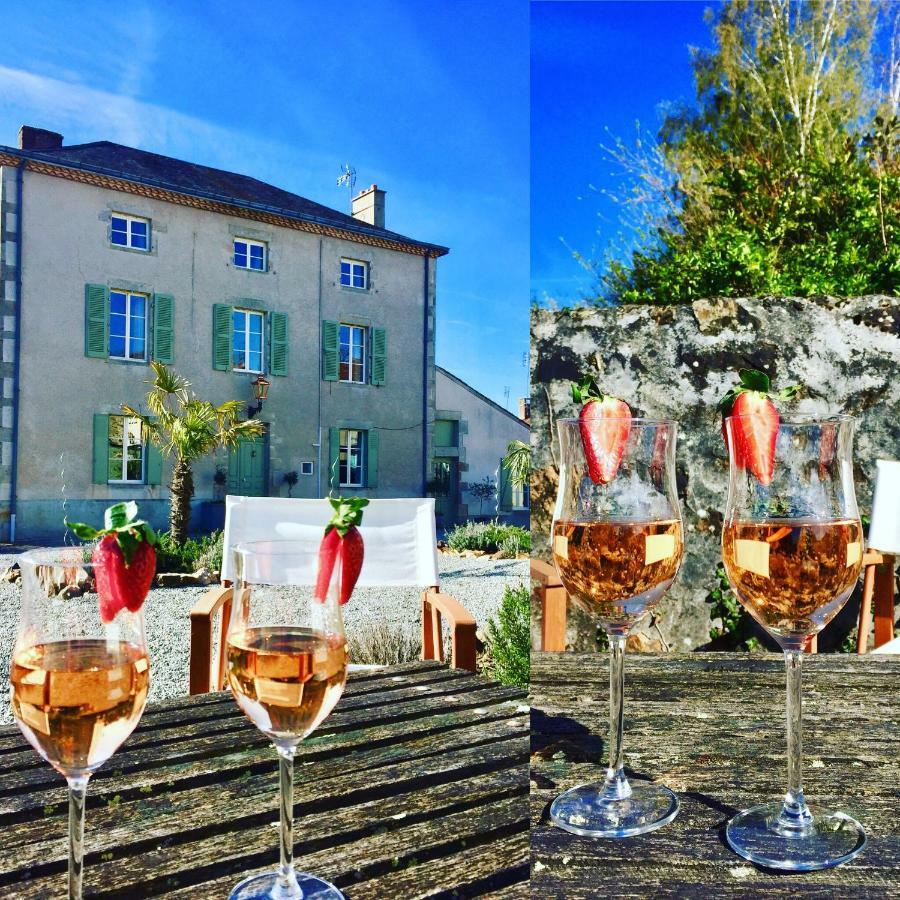 Maison Hirondelles Hotes Mezieres-sur-Issoire Bagian luar foto